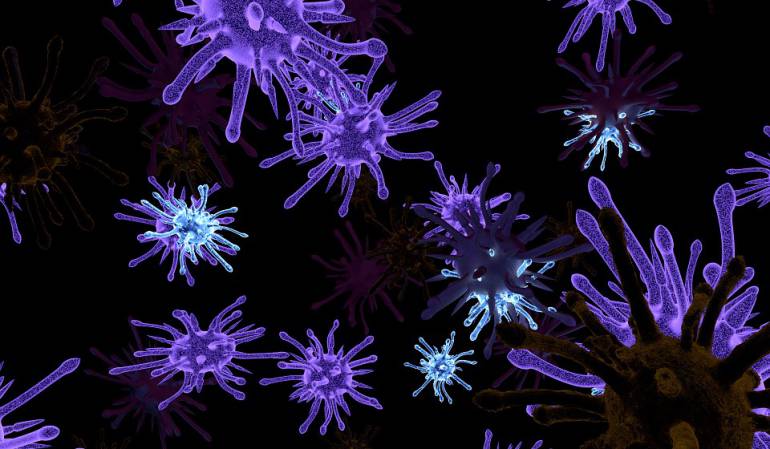 Virus peligroso para las mujeres embarazadas: El virus que es más peligroso que el zika para las embarazadas y del que casi no se habla