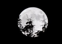 China tendrá su propia "luna artificial"