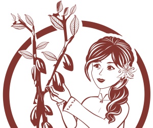 Marca de cacao colombiana: "María del Campo”, la nueva imagen del cacao colombiano Marca de cacao colombiana: "María del Campo”, la nueva imagen del cacao colombiano