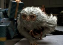 Criptozoología: la ciencia detrás de los animales fabulosos de la nueva película de Harry Potter