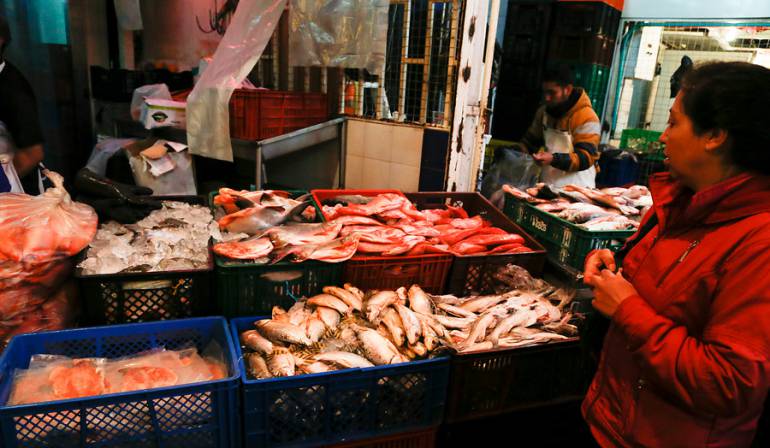 Pescados con menos mercurio: ¿Cuáles son los pescados que tienen menos mercurio y son menos nocivos para la salud?