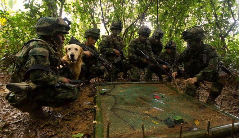 Zonas de concentración de las Farc: Las 20 vías que adecuará el Ejército en las zonas donde se concentrará las Farc