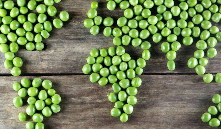Consecuencias del vegetarianismo en el mundo: ¿Qué pasaría en el mundo si todos fuéramos vegetarianos?