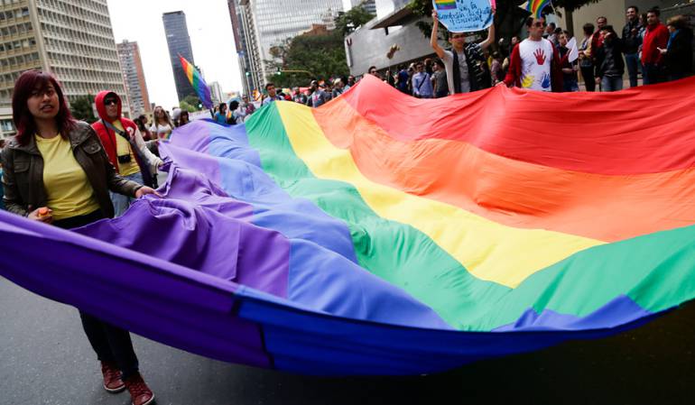 Referendo prohibición adopción gay: Se define si avanza o no referendo para prohibir adopción gay