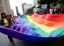 Se define si avanza o no referendo para prohibir adopción gay