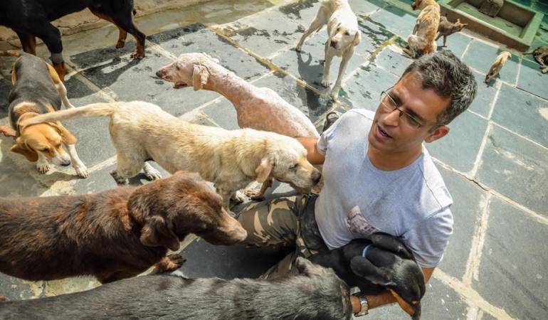 Rakesh Shukla, el hombre que recoge perros callejeros: El hombre que recoge perros callejeros ¡y ya tiene 735!