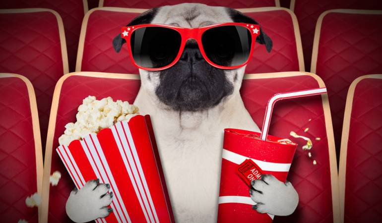 ¿Cuáles fueron las películas favoritas en 2016?: Las películas favoritas en 2016