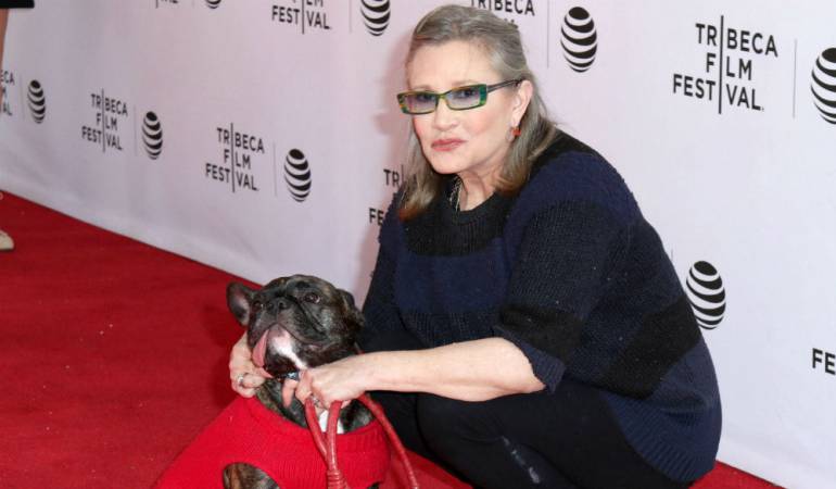 Twitter del perro de Carrie Fisher: ¿Quién maneja el popular Twitter de Gary, el perro de Carrie Fisher?