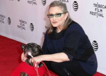 El sentido homenaje que le hicieron fanáticos a Carrie Fisher