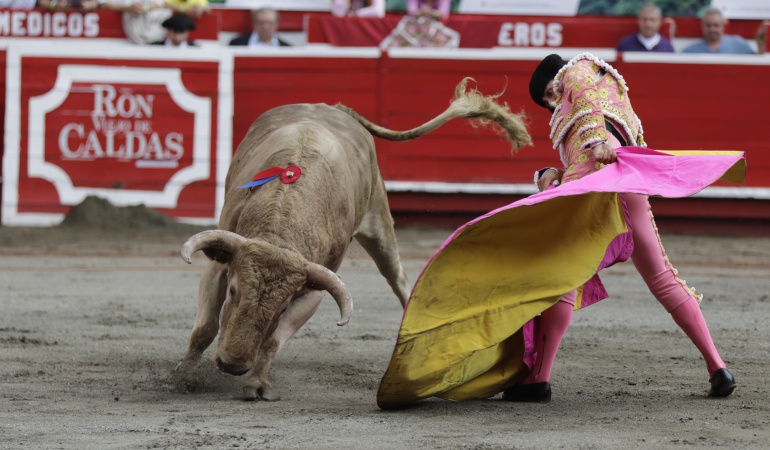 Corridas de Toros: Gobierno presentará proyecto de Ley para prohibir las corridas de toros en Colombia