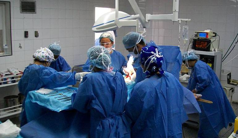 Un experimento podría ser la esperanza para las personas que necesitan un trasplante de órganos.: Órganos desarrollados en otras especies, los posibles trasplantes del futuro
