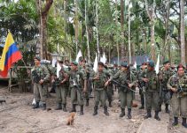 Bandas brasileñas están reclutando excombatientes de las Farc