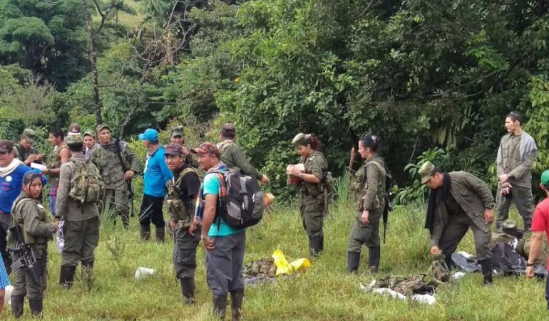 Farc en zonas veredales: 6.300 guerrilleros de las Farc ya están en las zonas de concentración: Fuerzas Militares