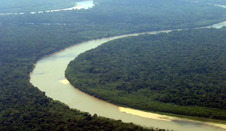 Deforestación en Guaviare: Autoridades ambientales y públicas trabajan articuladamente para ejercer la Gobernanza Forestal en Guaviare