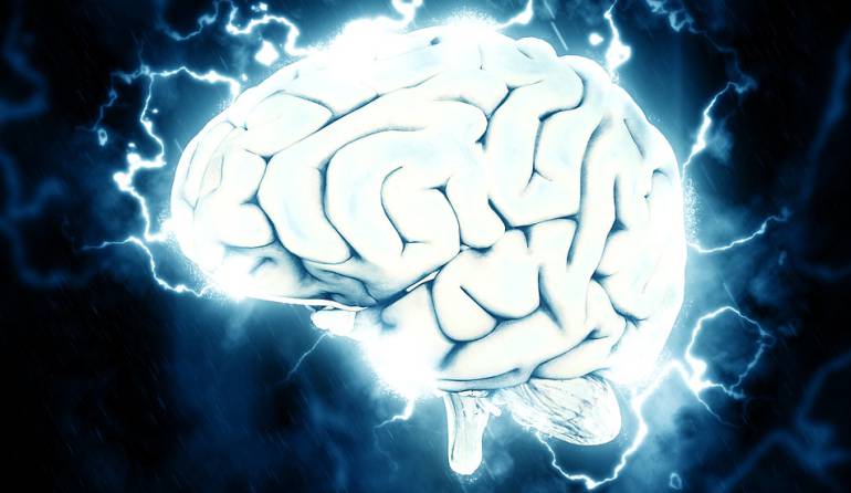 Mapa del cerebro humano: Cuba, Canadá y China se unen para trazar el mapa del cerebro humano