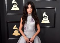 ¿Decepcionados? Así quedaron los fans de Camila Cabello al verla en bikini