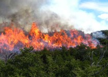 Gestión del riesgo de Boyacá dio a conocer alertas por incendios y heladas