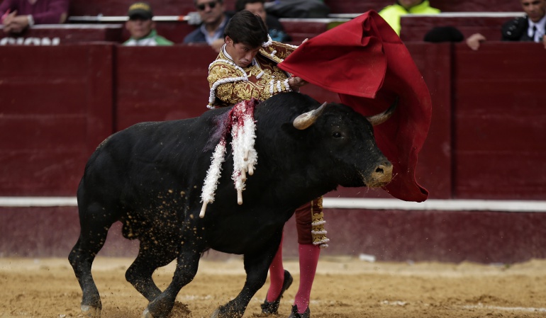 Toros en Bogotá: Listo proyecto del Gobierno y partidos para acabar corridas de toros
