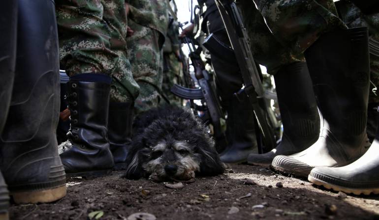 Las tierras recuperadas harán parte del fondo de tierras para ser entregadas a las víctimas del conflicto.