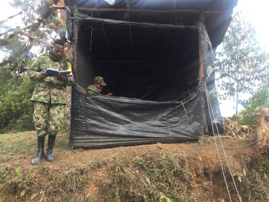 Zonas de concentración: A La Elvira, Cauca, no ha llegado el material para iniciar la dejación de armas Zonas de concentración: A La Elvira, Cauca, no ha llegado el material para iniciar la dejación de armas
