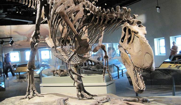 Daspletosaurus hornery dinosaurios: El tiranosaurio tenía una cara sin labios y con escamas, similar al cocodrilo