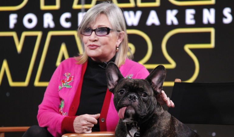 La actriz Carrie Fisher y su perro "Gary" durante el estreno de Star Wars: The Force Awakens.