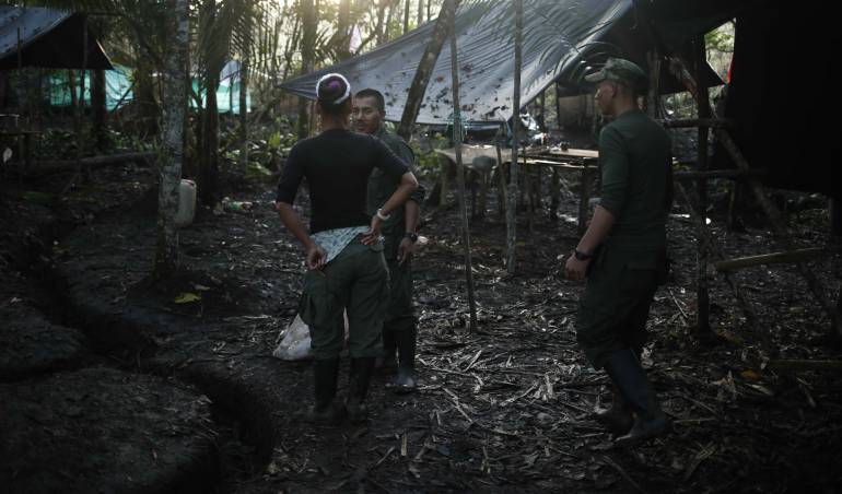 Farc.