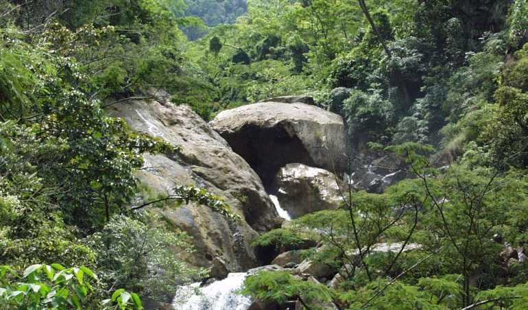 Cuidado de la naturaleza