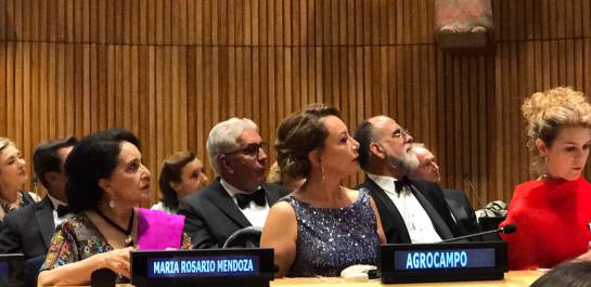 Gerente de Agrocampo recibe premio por parte de organización consultiva de la ONU en Nueva York: Colombiana es premiada con el Women Together Awars Gerente de Agrocampo recibe premio por parte de organización consultiva de la ONU en Nueva York: Colombiana es premiada con el Women Together Awars