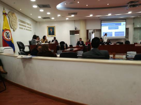 Trabajadoras sexuales: Trabajadoras sexuales llegaron al Congreso de la República Trabajadoras sexuales: Trabajadoras sexuales llegaron al Congreso de la República