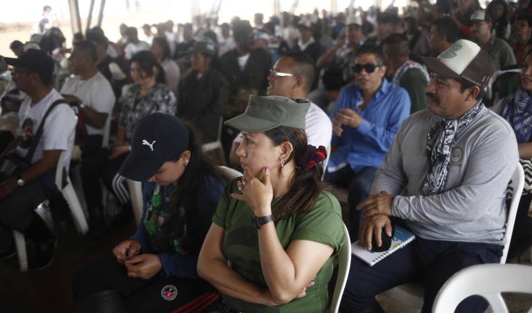Entrega armas Farc: En el día D+180 la paz se aclimata, aunque no está terminada