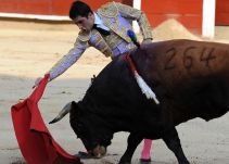 Empieza el trámite de la prohibición de corridas de toros en el país