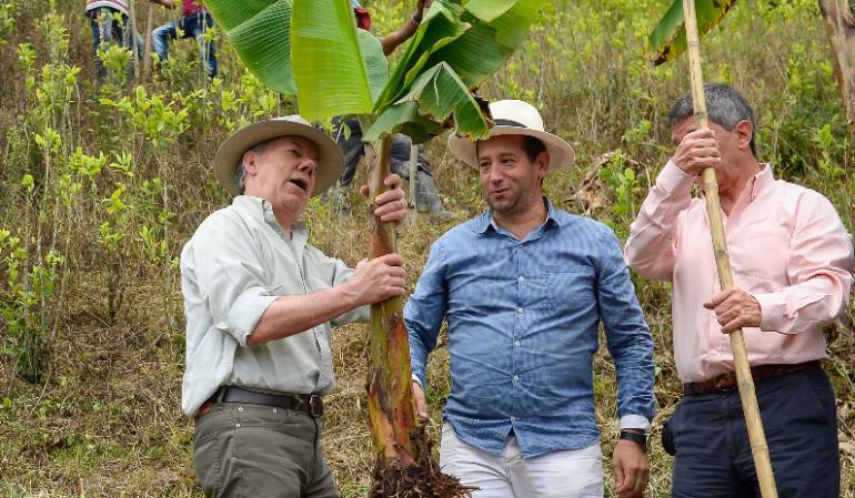 Gobierno Santos anuncia que trabajará en producción de empleo en el campo: El Gobierno se concentrará en generar desarrollo y empleo en el campo: Santos