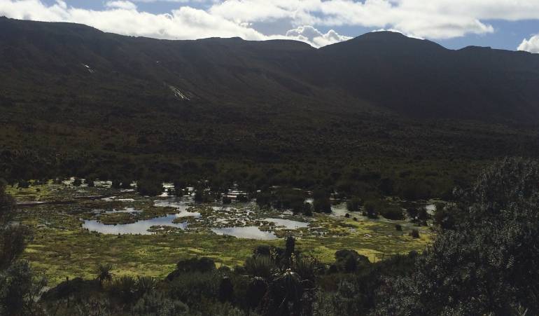 Páramo de Sumapaz.