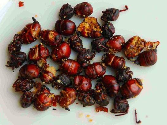 Los mejores platos de Colombia: Destinos gastronómicos para irse de vacaciones en Colombia Los mejores platos de Colombia: Destinos gastronómicos para irse de vacaciones en Colombia