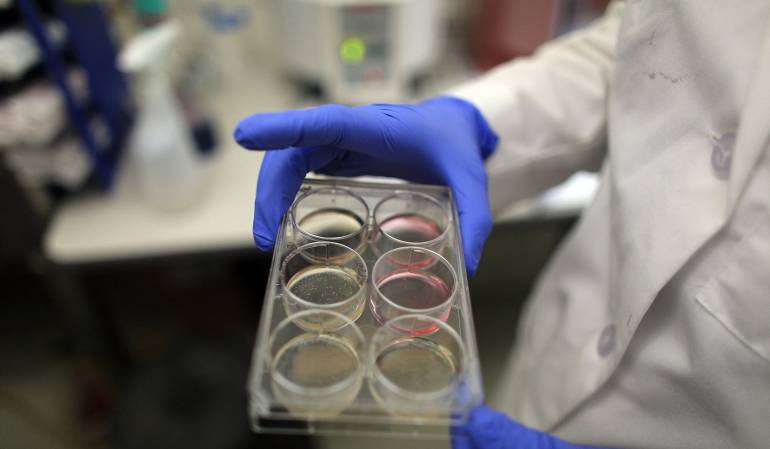 Embrión humano es modificado genéticamente por primera vez en Estados Unidos