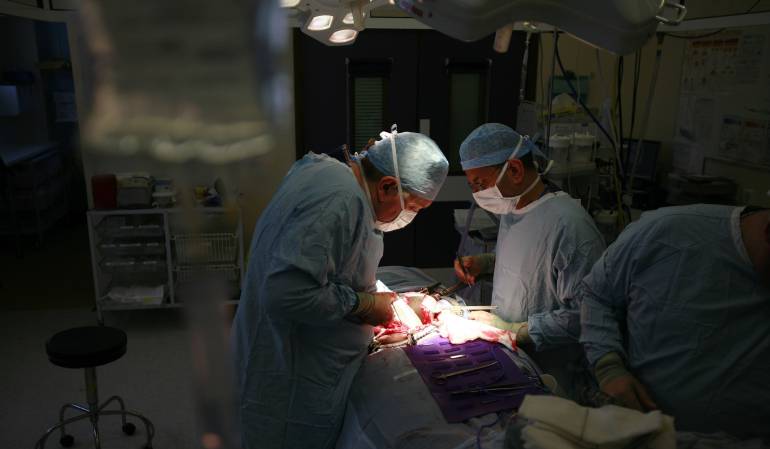 trasplante de Medula Ósea: Menor de 10 meses sobrevive gracias a trasplante de Medula Ósea