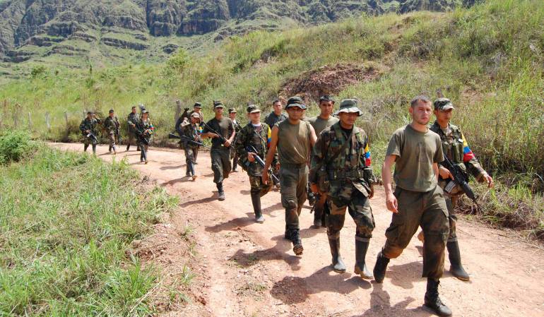 Áreas que ocupaban las Farc: "Aumentaron las áreas deforestadas en las zonas que dejaron las Farc": Contralor General