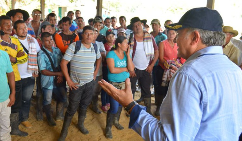 Cultivos lícitos: Gobierno comprobó en el Meta 500 familias están cambiando la Coca por cultivos lícitos