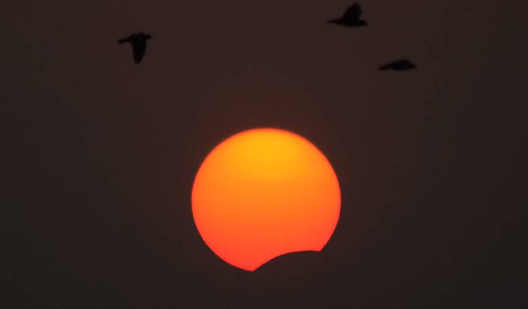 Eclipse solar en Allahabad, India, durante el 9 de marzo de 2016.