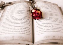 La Semana de los libros prohibidos reivindica en EE.UU. la libertad de leer