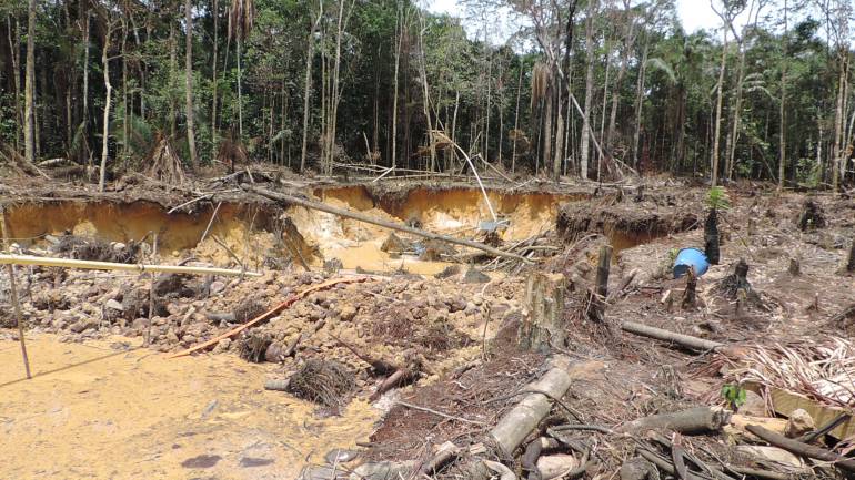 Deforestación en Colombia: Países aliados de Colombia se comprometieron con la estrategia integral contra la deforestación en el país