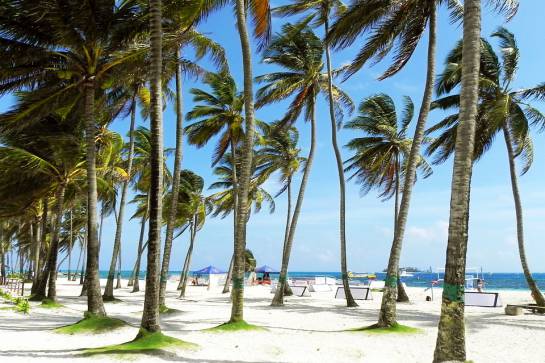Lugares en los que prefieren viajar los millennials: Las ciudades más atractivas para los viajeros millennials Lugares en los que prefieren viajar los millennials: Las ciudades más atractivas para los viajeros millennials