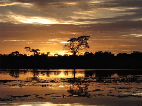 El alojamiento en la Reserva Natural Irapai, que se encuentra ubicada en el municipio de Puerto Alegría sobre el Río Amazonas, a 25 kilómetros de Leticia. El alojamiento en la Reserva Natural Irapai, que se encuentra ubicada en el municipio de Puerto Alegría sobre el Río Amazonas, a 25 kilómetros de Leticia.
