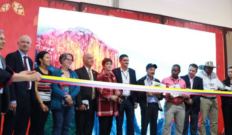 Premio a la calidad del cacao: Cacao de oro colombiano rumbo a París