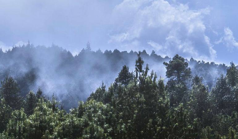 Cambio climático, la esperanza del cop21 y el acuerdo de parís: Aún es posible alcanzar las metas del Acuerdo de París, según un estudio