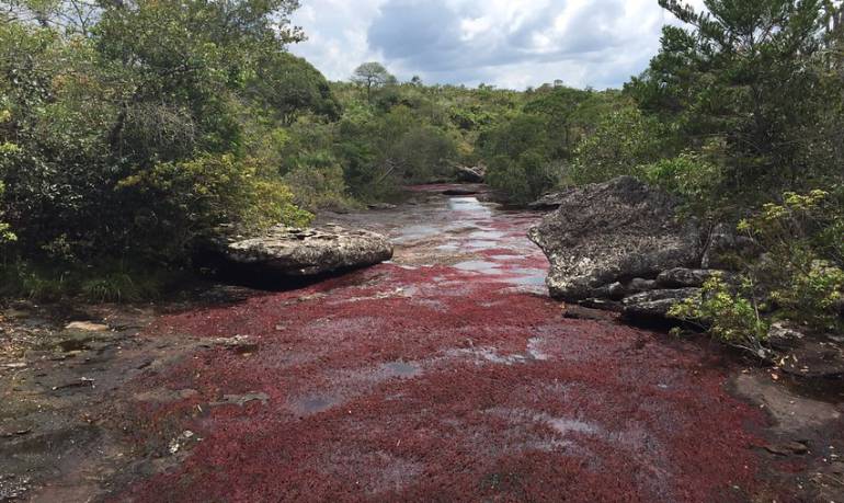 Caño Cristales Santos: Santos dará inicio a obras para potenciar turismo en Caño Cristales