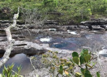 Caño Cristales, de 'country club de las Farc a destino turístico