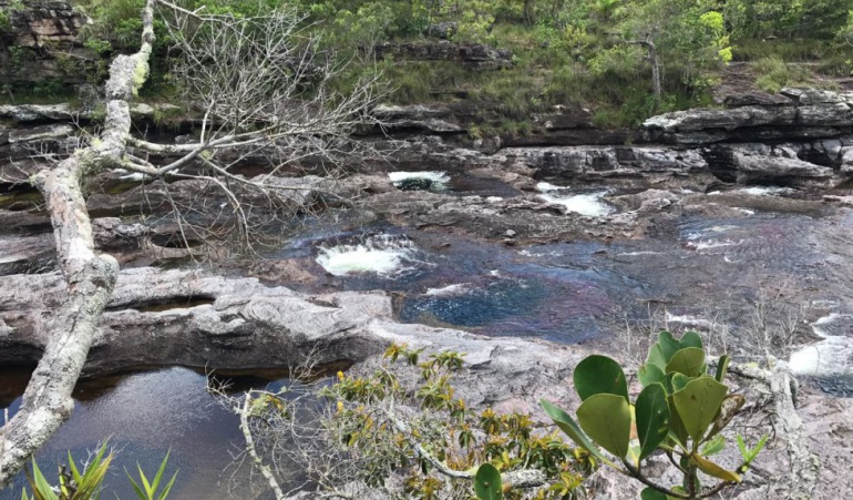 Caño cristales se abre al turismo: Caño Cristales, de 'country club' de las Farc a destino turístico