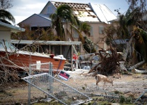 Levantan el toque de queda en los Cayos de Florida impuesto tras huracán Irma